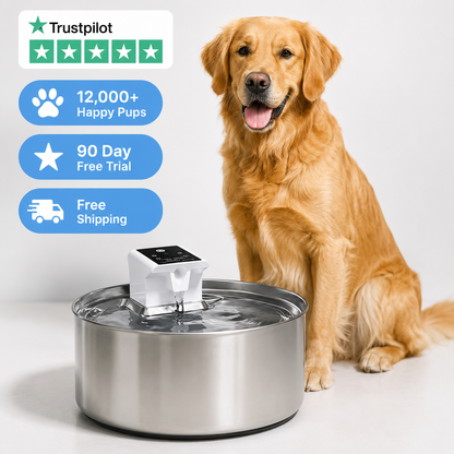 GuzzleGuts 7L Cordless Stainless Steel Dog Water Fountain