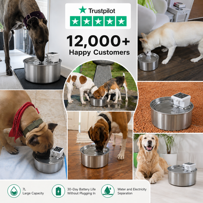 GuzzleGuts 7L Cordless Stainless Steel Dog Water Fountain